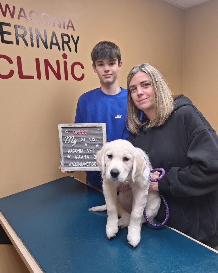 Images Waconia Veterinary Clinic