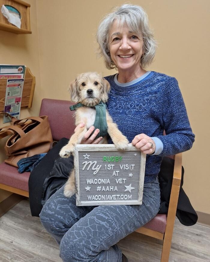 Images Waconia Veterinary Clinic