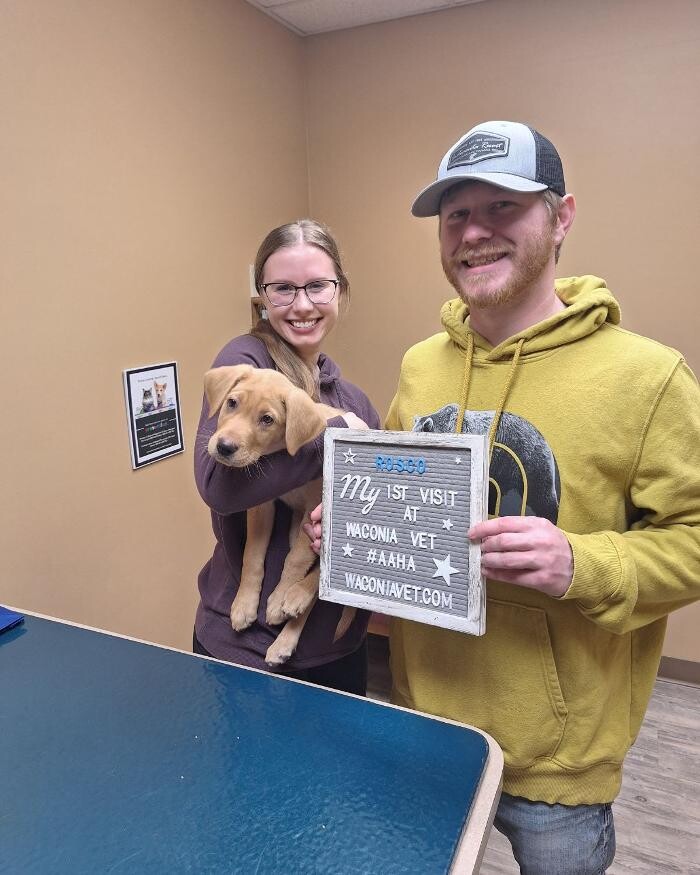 Images Waconia Veterinary Clinic
