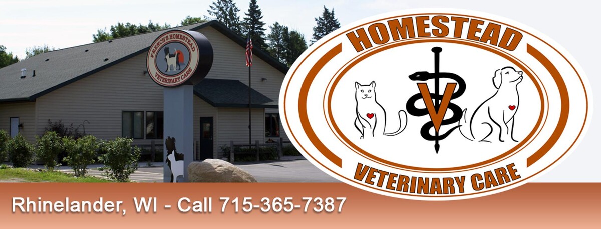 Images Homestead Veterinary Care