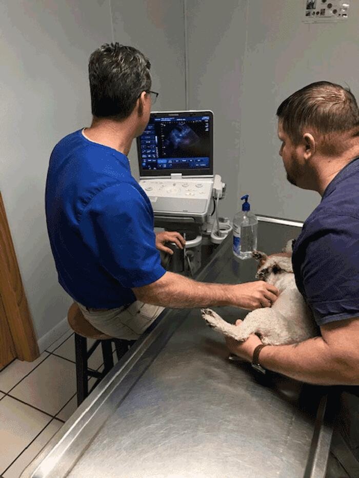 Images Opp Veterinary Hospital