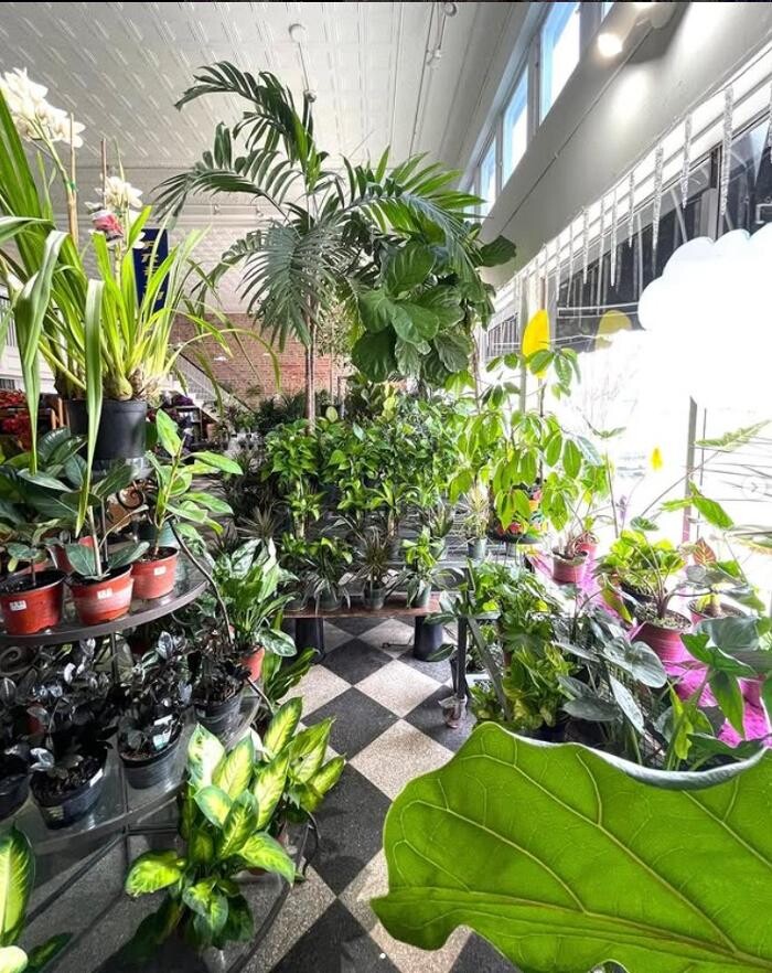 Images Vogue Flowers