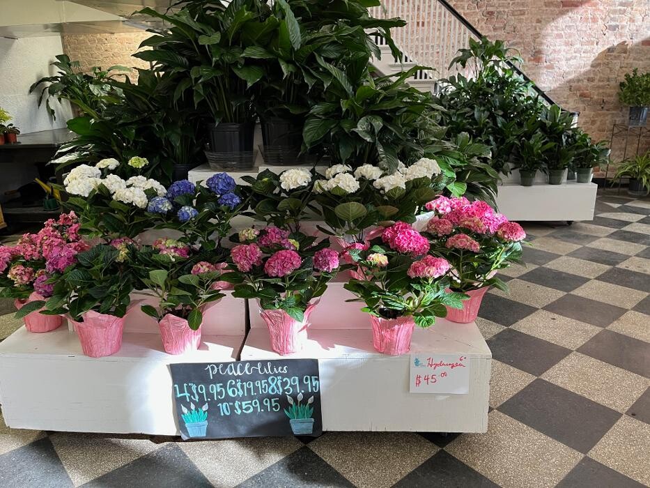 Images Vogue Flowers