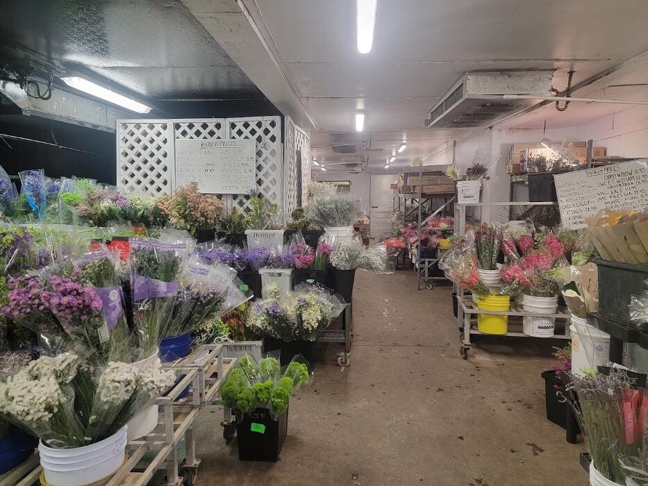 Images Vogue Flowers