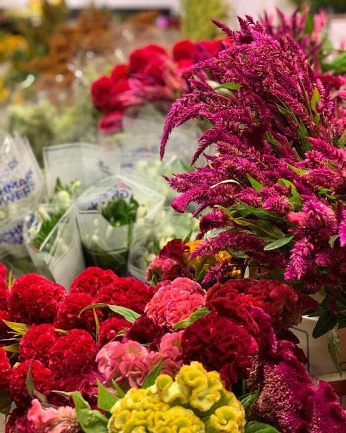 Images Vogue Flowers