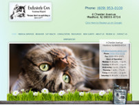 Exclusively Cats Veterinary Hospital website screenshot