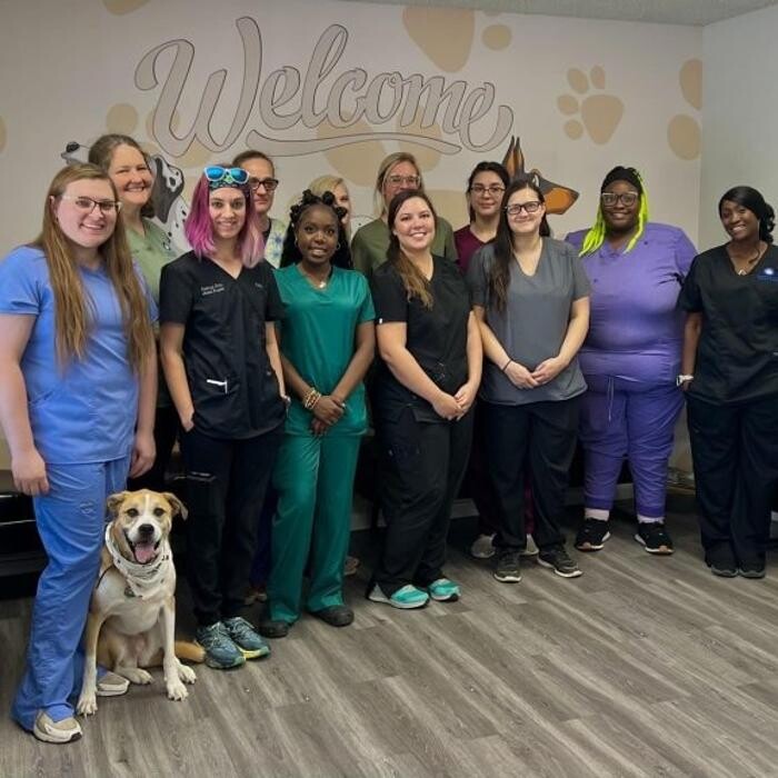 Images Robinson Drive Animal Hospital