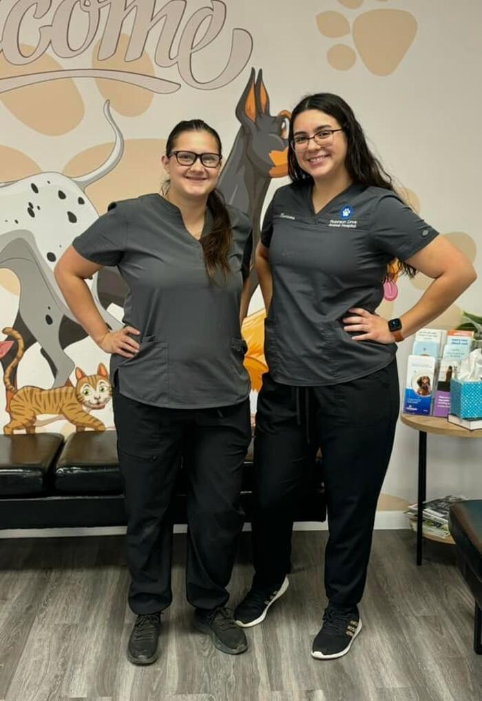 Images Robinson Drive Animal Hospital