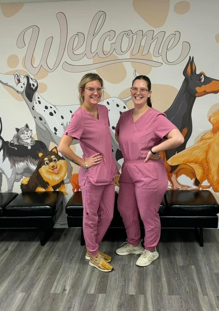 Images Robinson Drive Animal Hospital