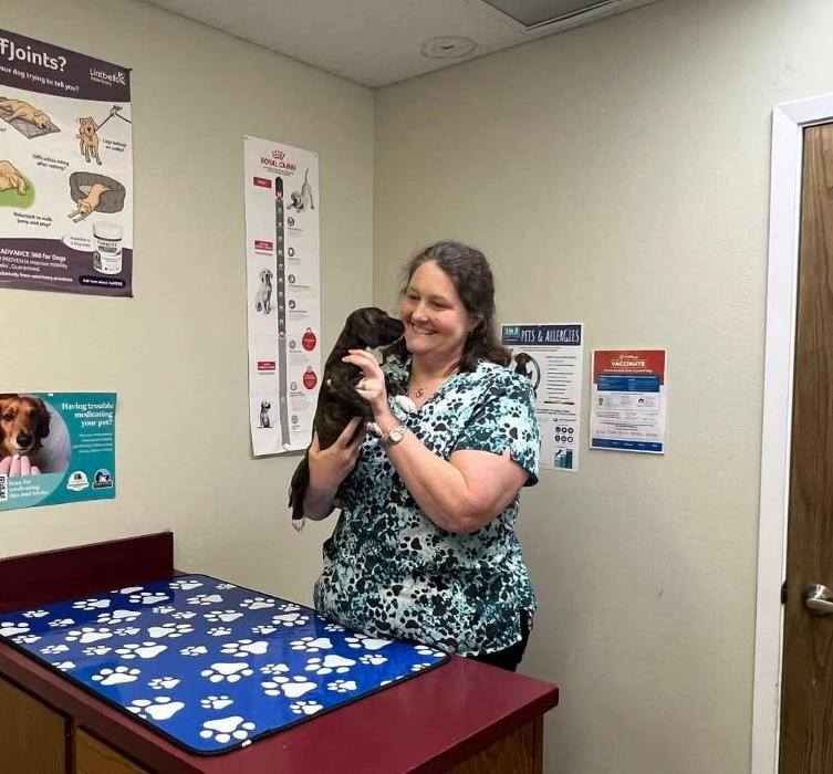Images Robinson Drive Animal Hospital
