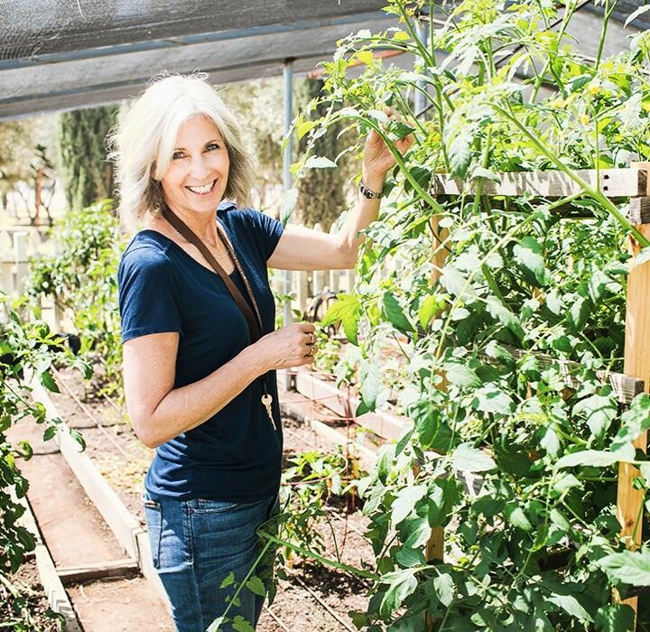 Images Queen Creek Olive Mill