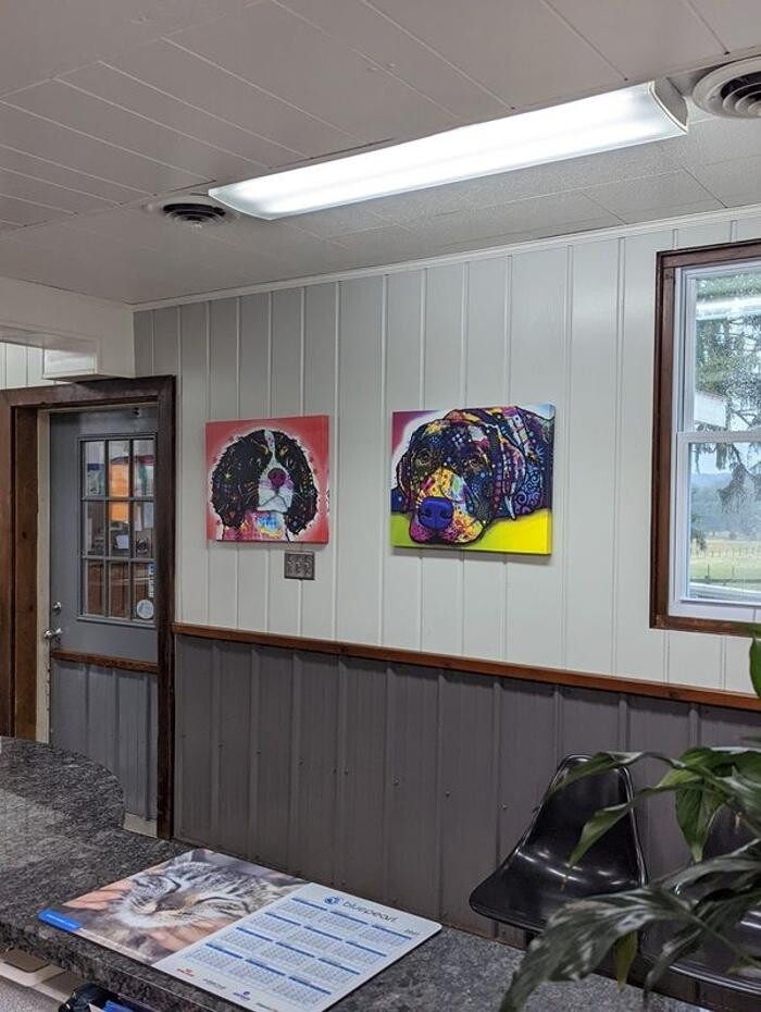 Images Thornwood Veterinary Clinic