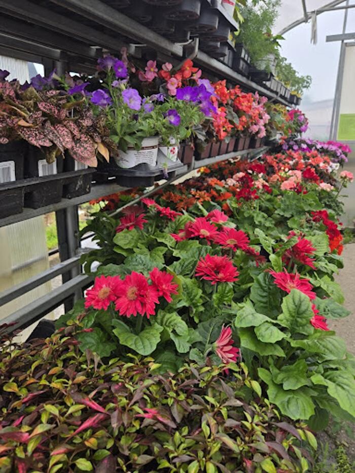 Images Heiman True Value