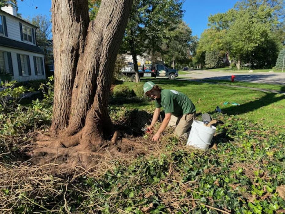 Images Greentrees, Inc.