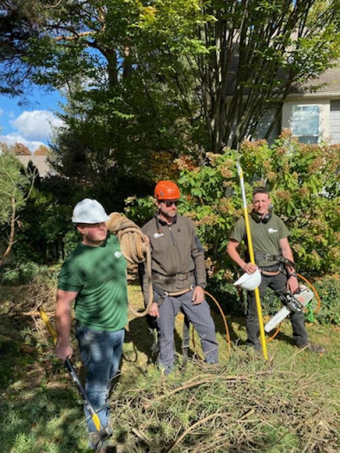 Images Greentrees, Inc.