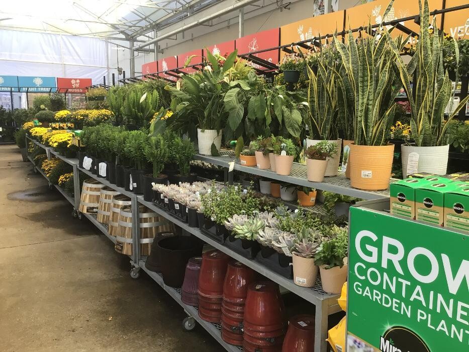 Images Tractor Supply Co.