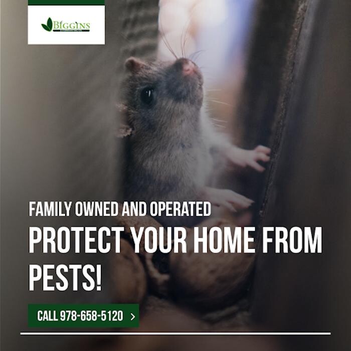 Images Biggins Exterminating