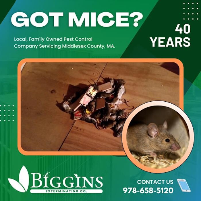 Images Biggins Exterminating