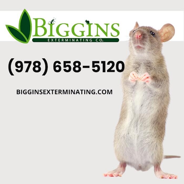Images Biggins Exterminating