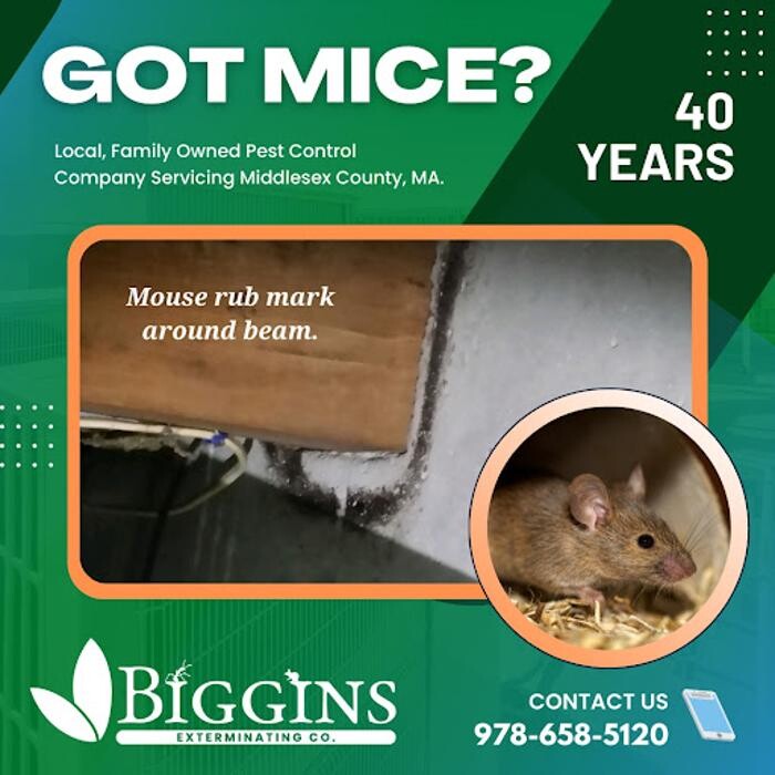 Images Biggins Exterminating