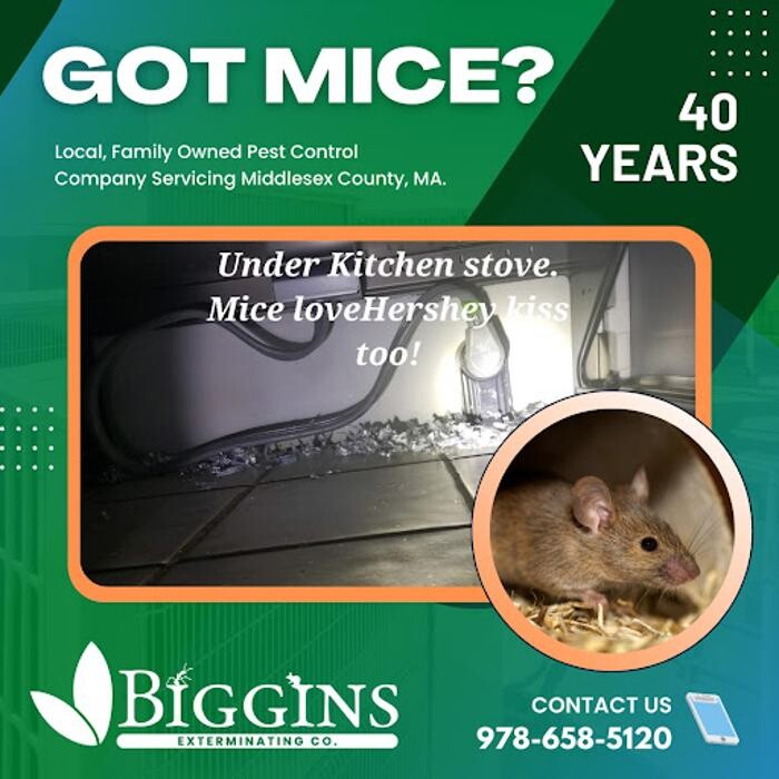 Images Biggins Exterminating