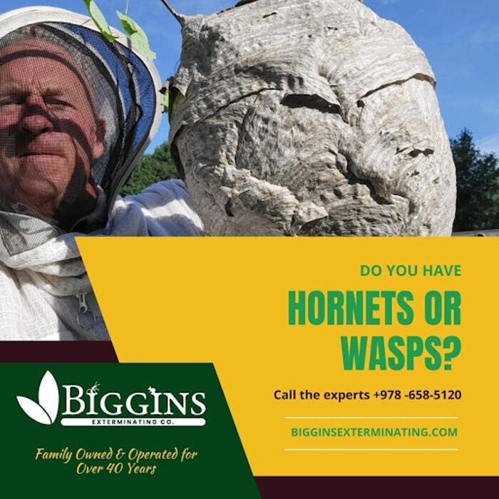 Images Biggins Exterminating