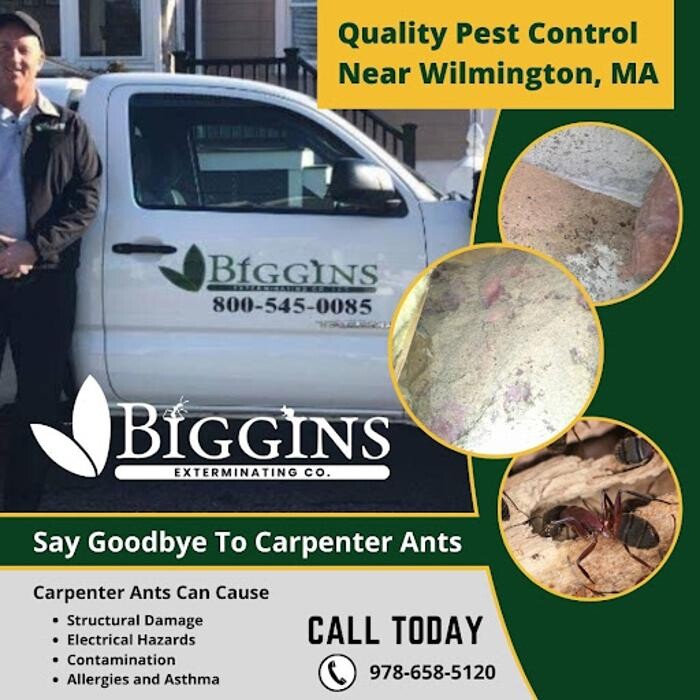 Images Biggins Exterminating