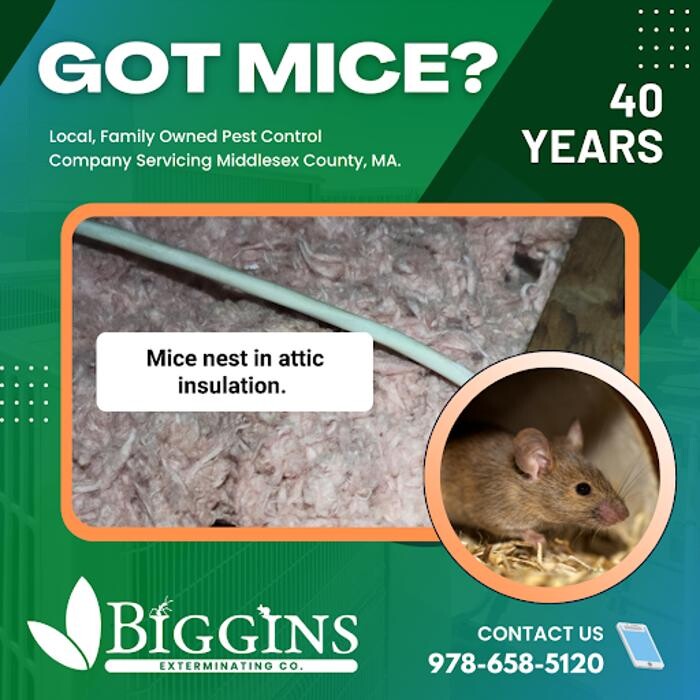 Images Biggins Exterminating