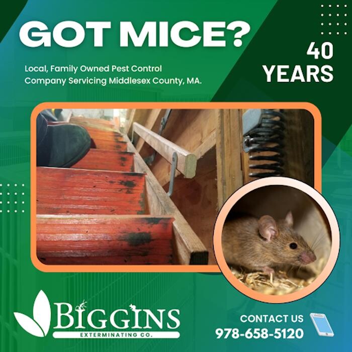 Images Biggins Exterminating