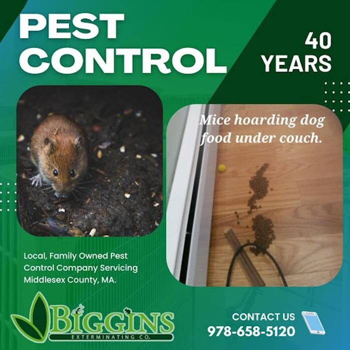Images Biggins Exterminating