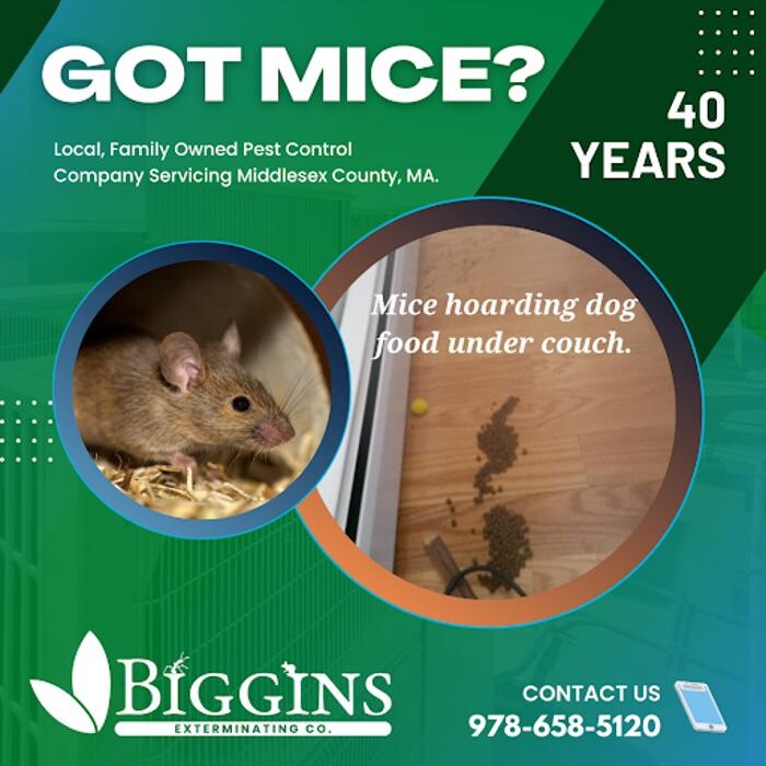 Images Biggins Exterminating