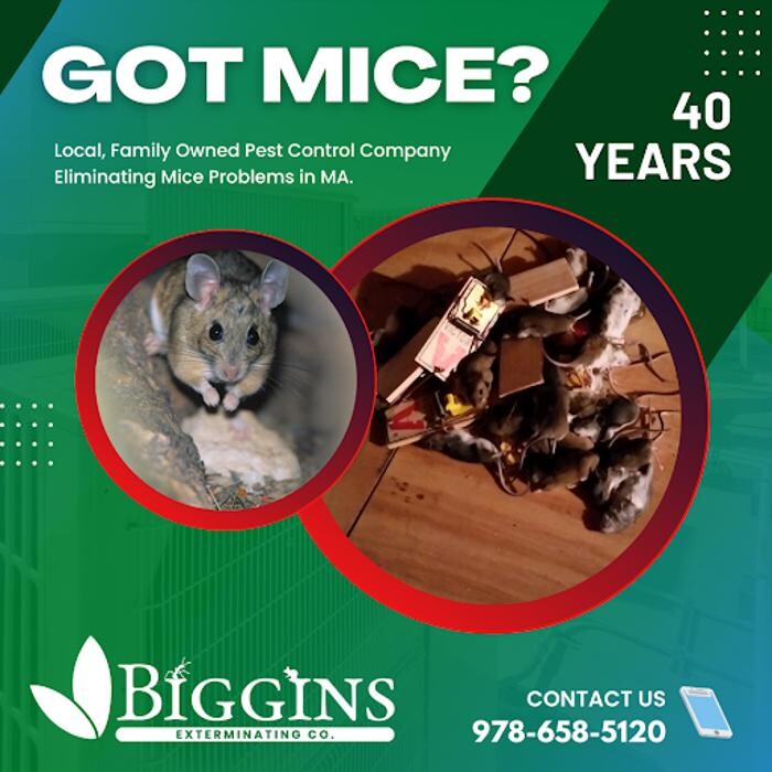 Images Biggins Exterminating