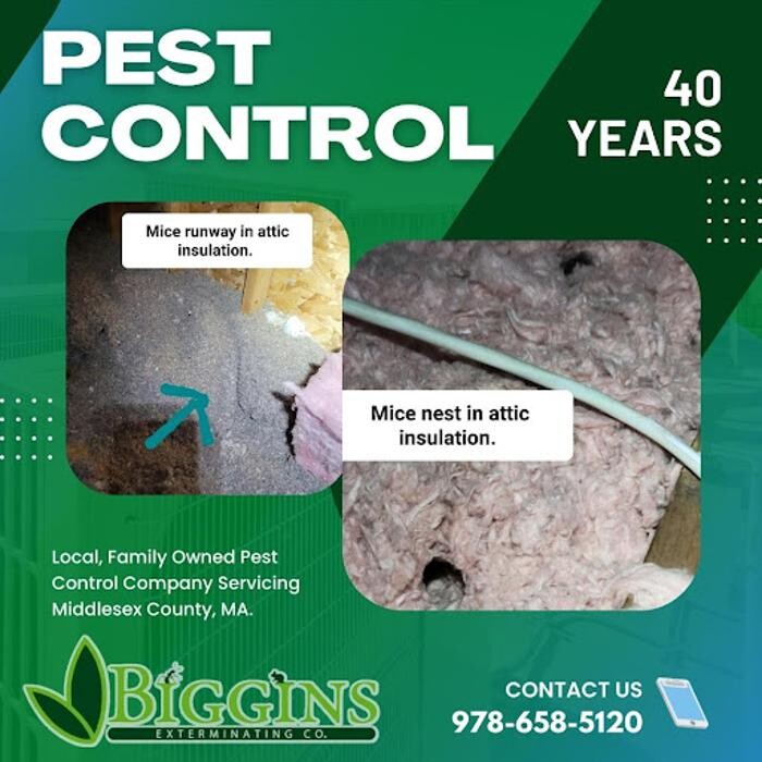 Images Biggins Exterminating