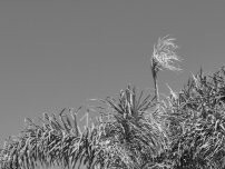 Website Screenshot D E A Security Systems Co., Inc.