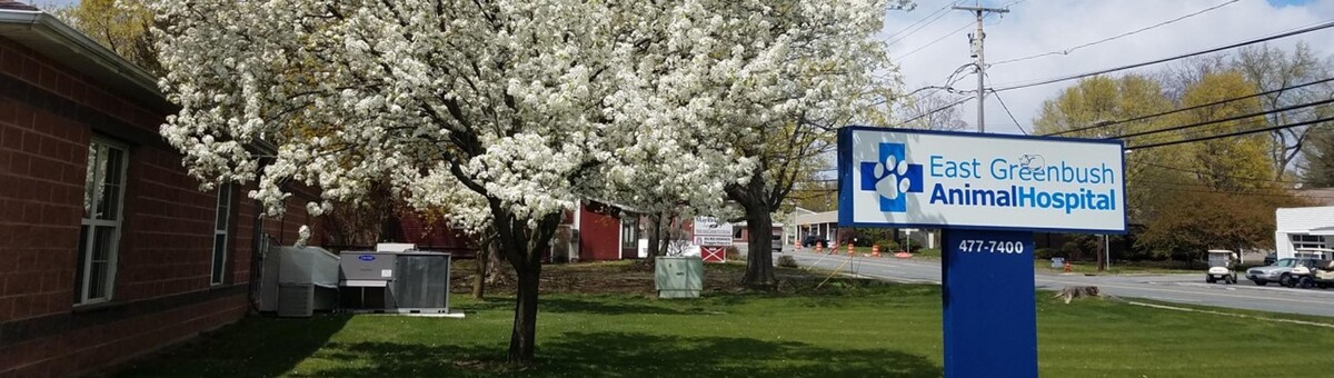 Images East Greenbush Animal Hospital