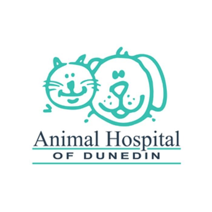 Animal Hospital of Dunedin Logo
