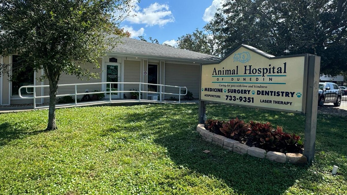 Images Animal Hospital of Dunedin