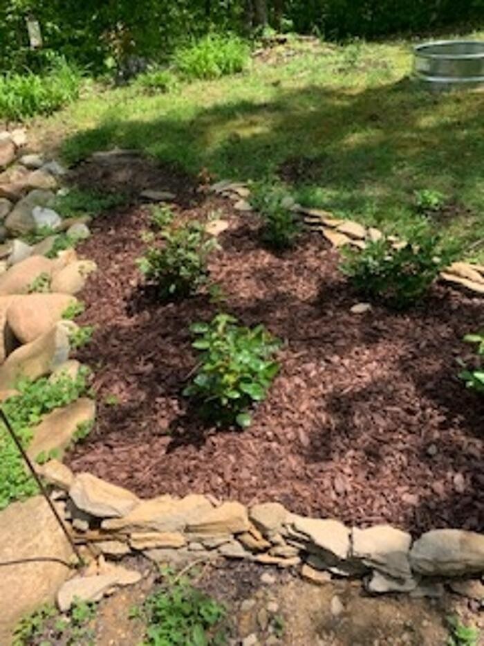 Images The Honey Do Service, Inc Sevierville