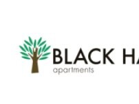 Website Screenshot Black Hawk Apartments