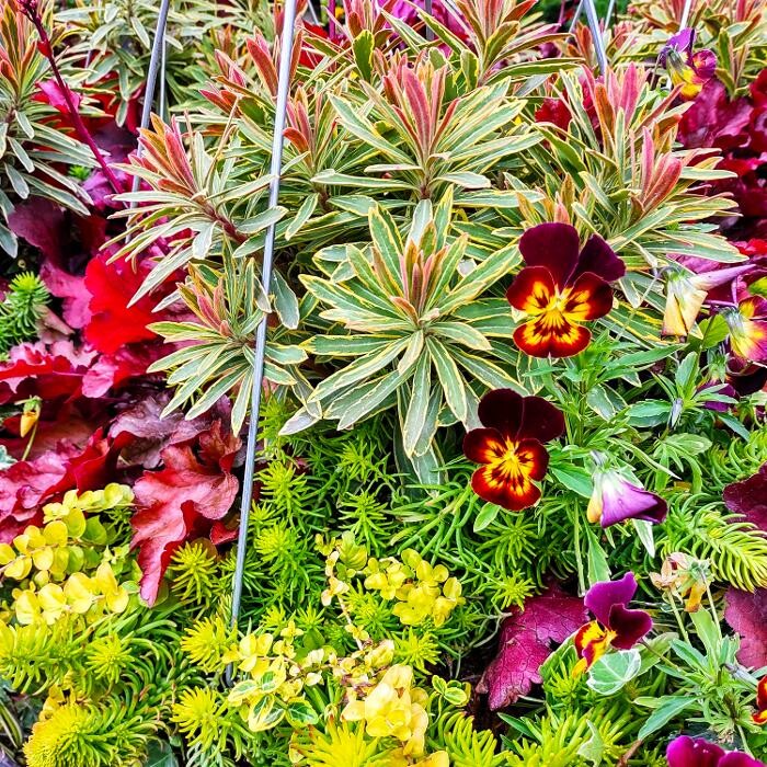 Images Uyeta Landscape, Design and Maintenance