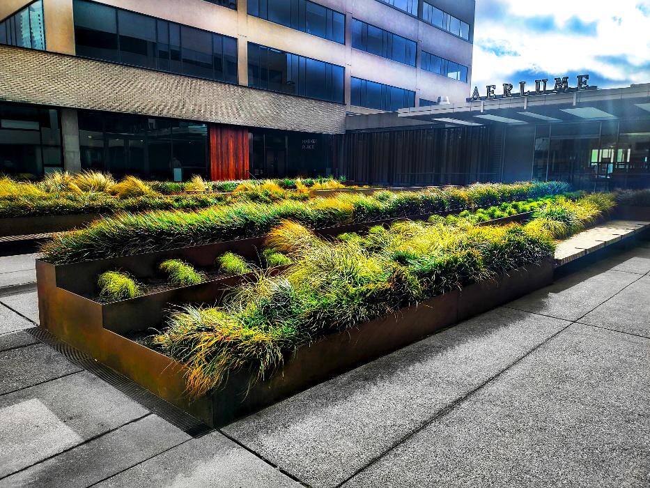 Images Uyeta Landscape, Design and Maintenance
