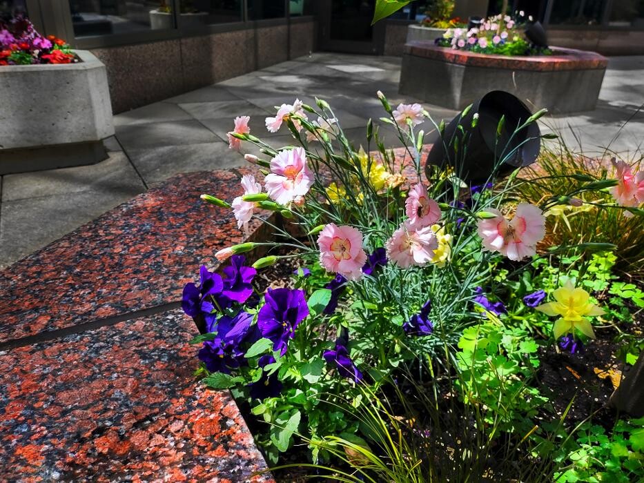 Images Uyeta Landscape, Design and Maintenance