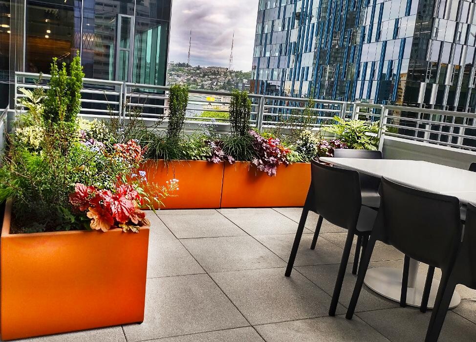 Images Uyeta Landscape, Design and Maintenance
