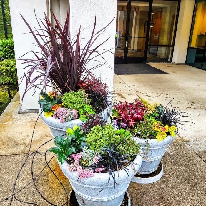 Images Uyeta Landscape, Design and Maintenance