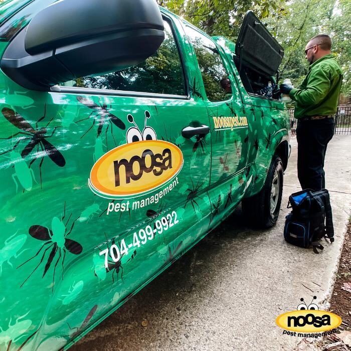 Images Noosa Pest Management LLC