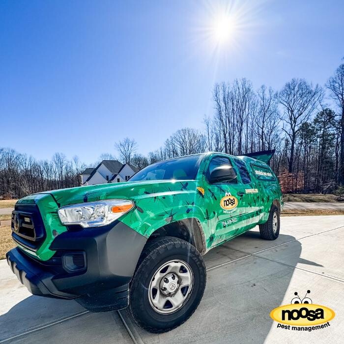 Images Noosa Pest Management LLC