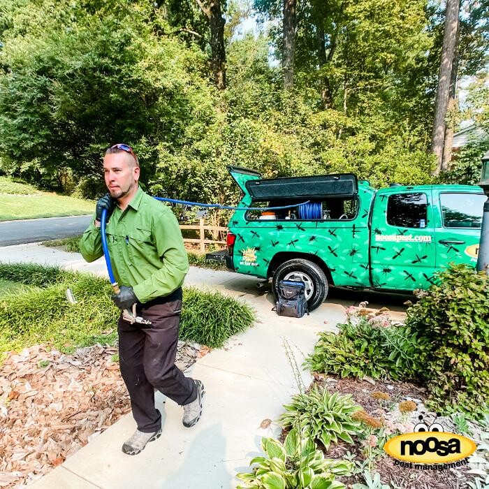 Images Noosa Pest Management LLC