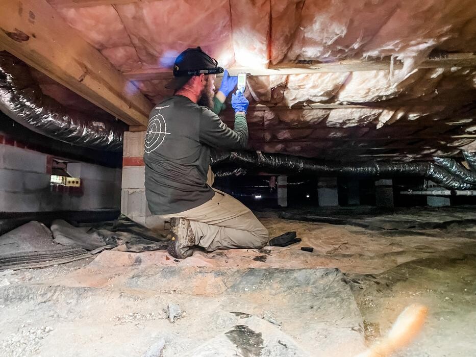 Images Noosa Pest Management LLC