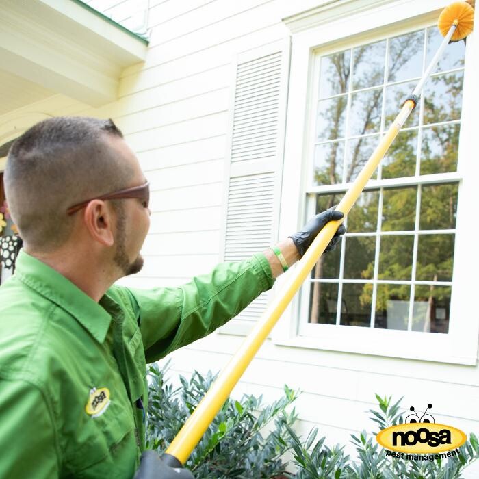 Images Noosa Pest Management LLC
