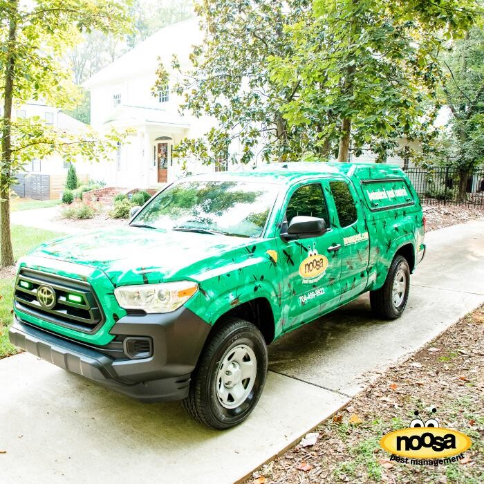Images Noosa Pest Management LLC